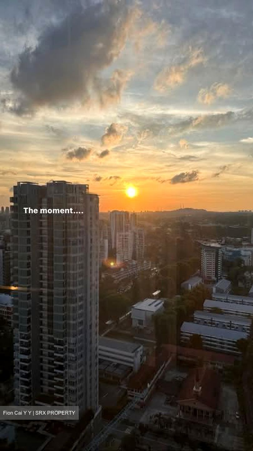 Newton 21 (D11), Apartment #567988071